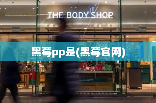 黑莓pp是(黑莓官网)