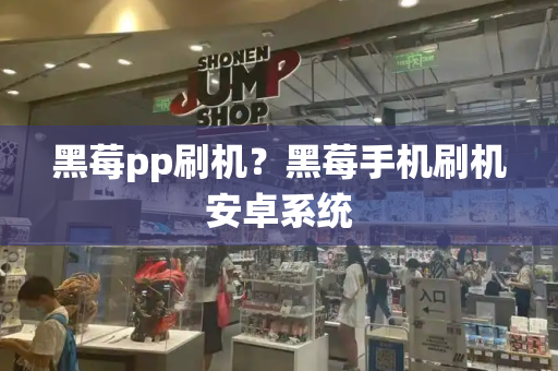 黑莓pp刷机？黑莓手机刷机安卓系统-第1张图片-星选测评