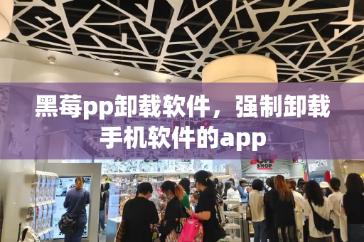 黑莓pp卸载软件，强制卸载手机软件的app