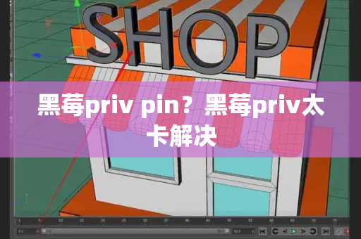 黑莓priv pin？黑莓priv太卡解决-第1张图片-星选测评