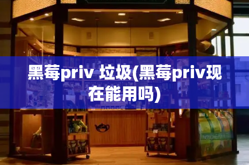 黑莓priv 垃圾(黑莓priv现在能用吗)