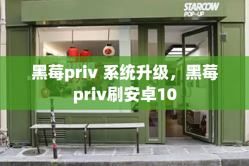 黑莓priv 系统升级，黑莓priv刷安卓10-第1张图片-星选测评