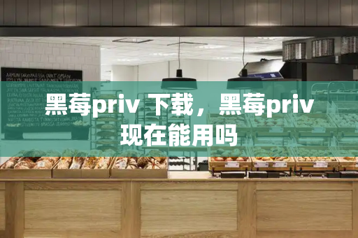 黑莓priv 下载，黑莓priv现在能用吗-第1张图片-星选测评