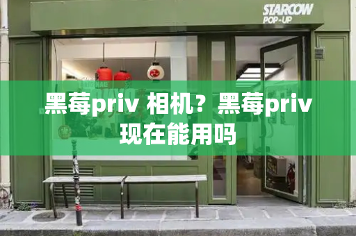 黑莓priv 相机？黑莓priv现在能用吗