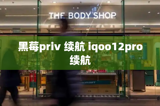 黑莓priv 续航 iqoo12pro续航-第1张图片-星选测评