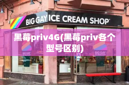 黑莓priv4G(黑莓priv各个型号区别)