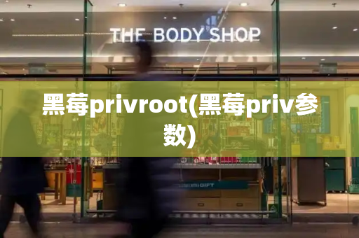 黑莓privroot(黑莓priv参数)-第1张图片-星选测评