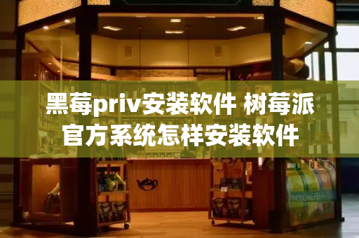 黑莓priv安装软件 树莓派官方系统怎样安装软件