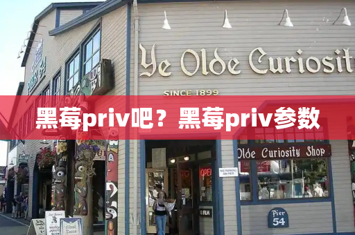 黑莓priv吧？黑莓priv参数-第1张图片-星选测评