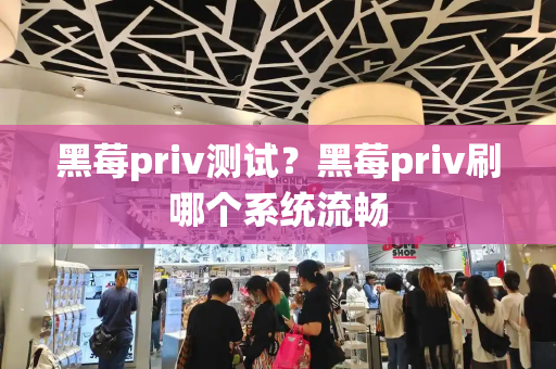 黑莓priv测试？黑莓priv刷哪个系统流畅-第1张图片-星选测评
