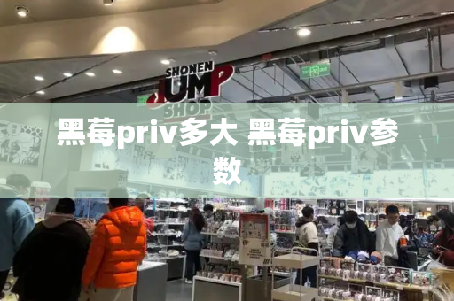 黑莓priv多大 黑莓priv参数