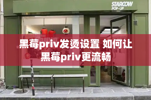 黑莓priv发烫设置 如何让黑莓priv更流畅-第1张图片-星选测评