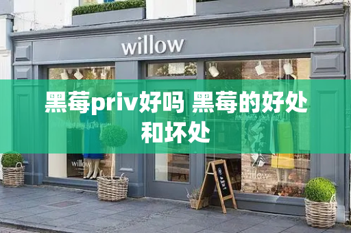 黑莓priv好吗 黑莓的好处和坏处