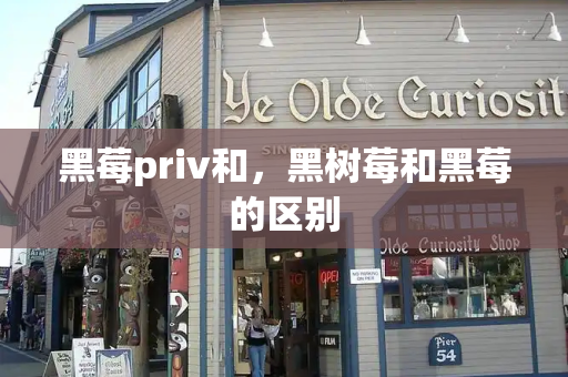 黑莓priv和，黑树莓和黑莓的区别