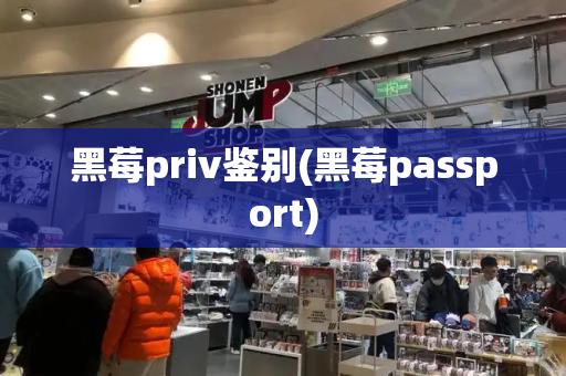黑莓priv鉴别(黑莓passport)