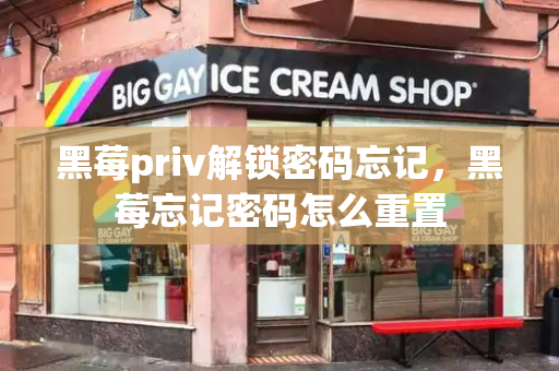 黑莓priv解锁密码忘记，黑莓忘记密码怎么重置