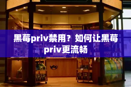 黑莓priv禁用？如何让黑莓priv更流畅-第1张图片-星选测评