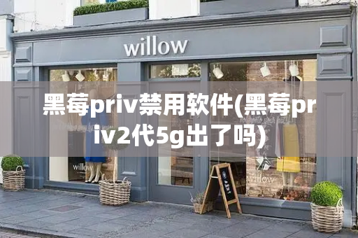 黑莓priv禁用软件(黑莓priv2代5g出了吗)-第1张图片-星选测评