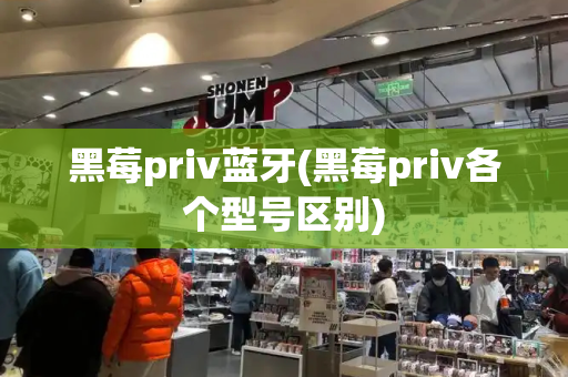 黑莓priv蓝牙(黑莓priv各个型号区别)-第1张图片-星选测评