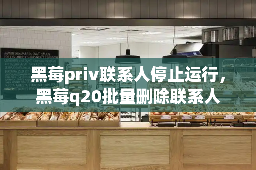 黑莓priv联系人停止运行，黑莓q20批量删除联系人-第1张图片-星选测评