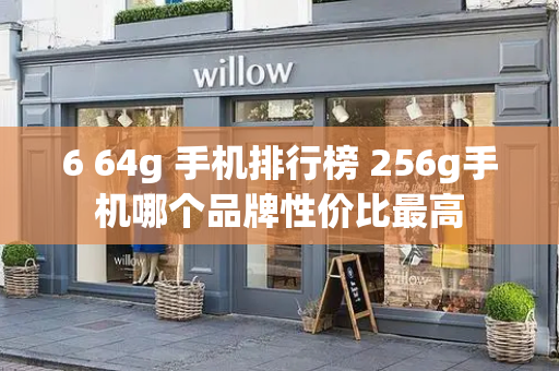 6 64g 手机排行榜 256g手机哪个品牌性价比最高