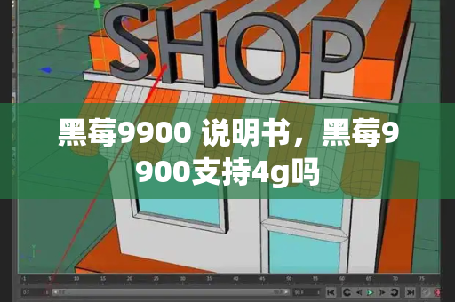 黑莓9900 说明书，黑莓9900支持4g吗-第1张图片-星选测评