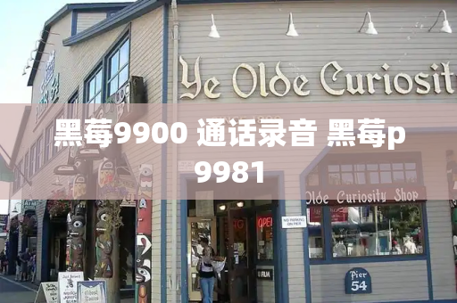 黑莓9900 通话录音 黑莓p9981
