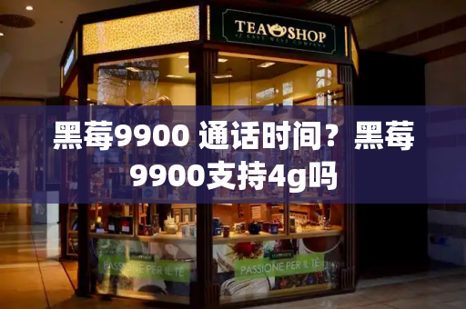 黑莓9900 通话时间？黑莓9900支持4g吗-第1张图片-星选测评