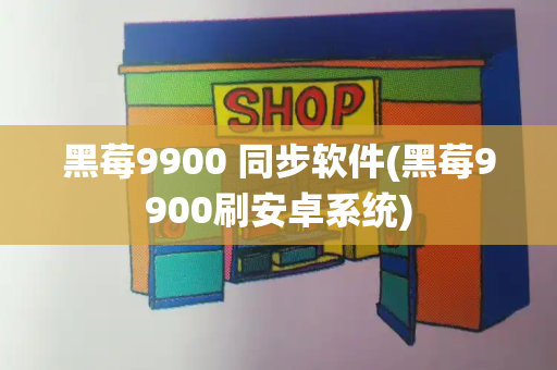 黑莓9900 同步软件(黑莓9900刷安卓系统)