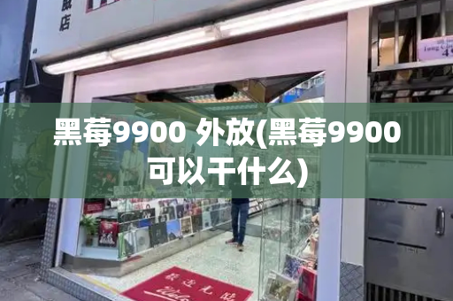 黑莓9900 外放(黑莓9900可以干什么)-第1张图片-星选测评