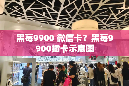 黑莓9900 微信卡？黑莓9900插卡示意图