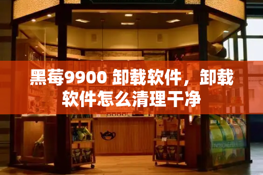 黑莓9900 卸载软件，卸载软件怎么清理干净