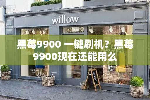 黑莓9900 一键刷机？黑莓9900现在还能用么