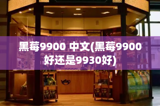 黑莓9900 中文(黑莓9900好还是9930好)-第1张图片-星选测评