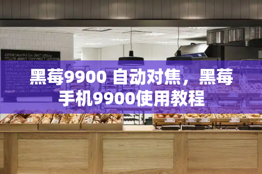 黑莓9900 自动对焦，黑莓手机9900使用教程