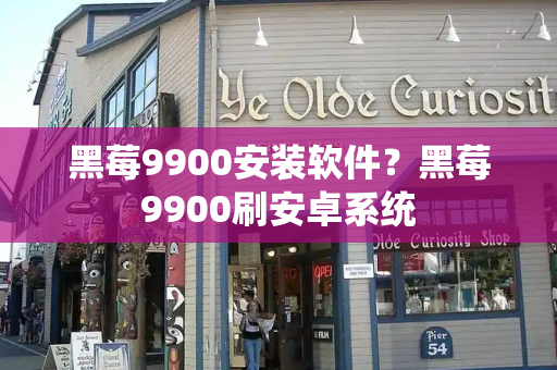 黑莓9900安装软件？黑莓9900刷安卓系统