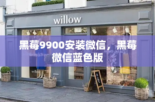 黑莓9900安装微信，黑莓微信蓝色版