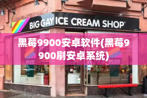 黑莓9900安卓软件(黑莓9900刷安卓系统)-第1张图片-星选测评