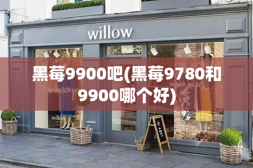黑莓9900吧(黑莓9780和9900哪个好)-第1张图片-星选测评