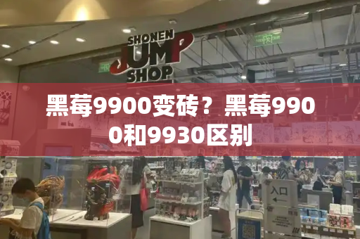 黑莓9900变砖？黑莓9900和9930区别-第1张图片-星选测评