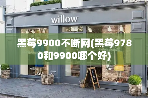 黑莓9900不断网(黑莓9780和9900哪个好)-第1张图片-星选测评