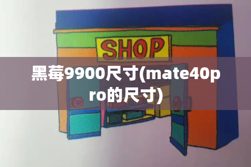 黑莓9900尺寸(mate40pro的尺寸)