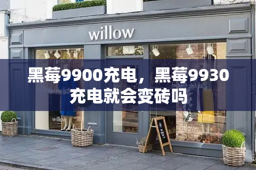 黑莓9900充电，黑莓9930充电就会变砖吗