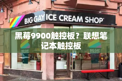 黑莓9900触控板？联想笔记本触控板-第1张图片-星选测评