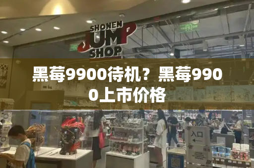 黑莓9900待机？黑莓9900上市价格-第1张图片-星选测评