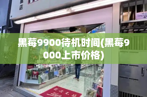 黑莓9900待机时间(黑莓9000上市价格)-第1张图片-星选测评