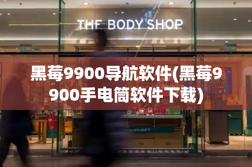 黑莓9900导航软件(黑莓9900手电筒软件下载)