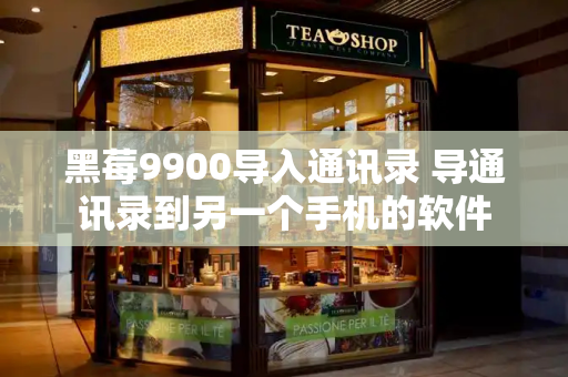 黑莓9900导入通讯录 导通讯录到另一个手机的软件