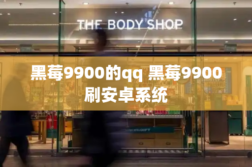 黑莓9900的qq 黑莓9900刷安卓系统-第1张图片-星选测评