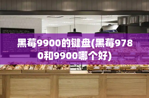 黑莓9900的键盘(黑莓9780和9900哪个好)